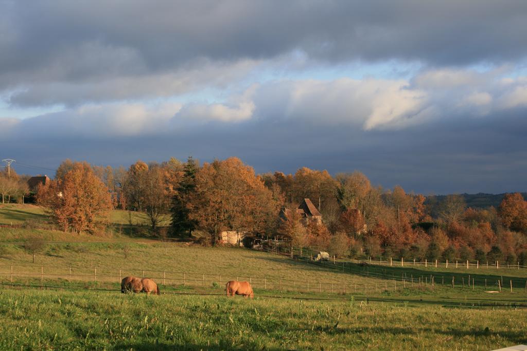 La Rolandie Haute Limeuil Экстерьер фото